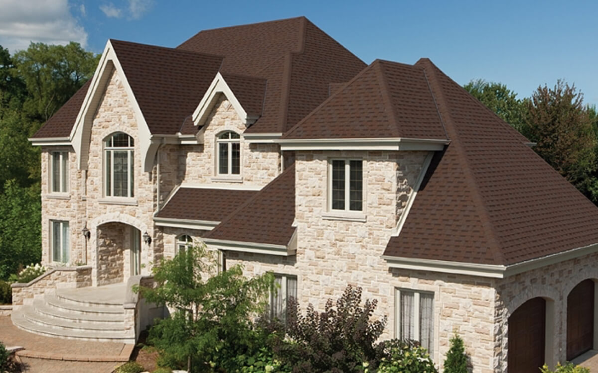 Dual Brown - Vista 10