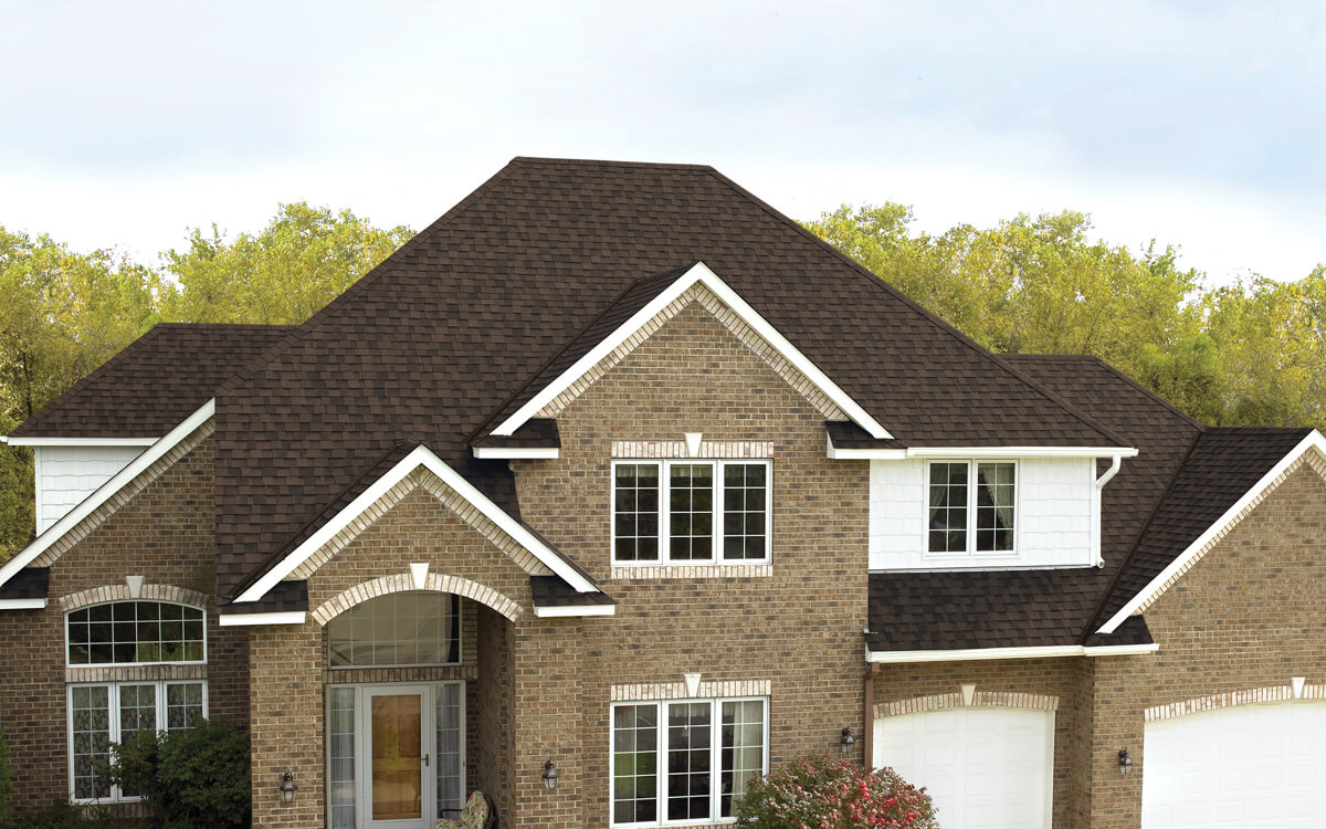 Dual Brown - Vista 9