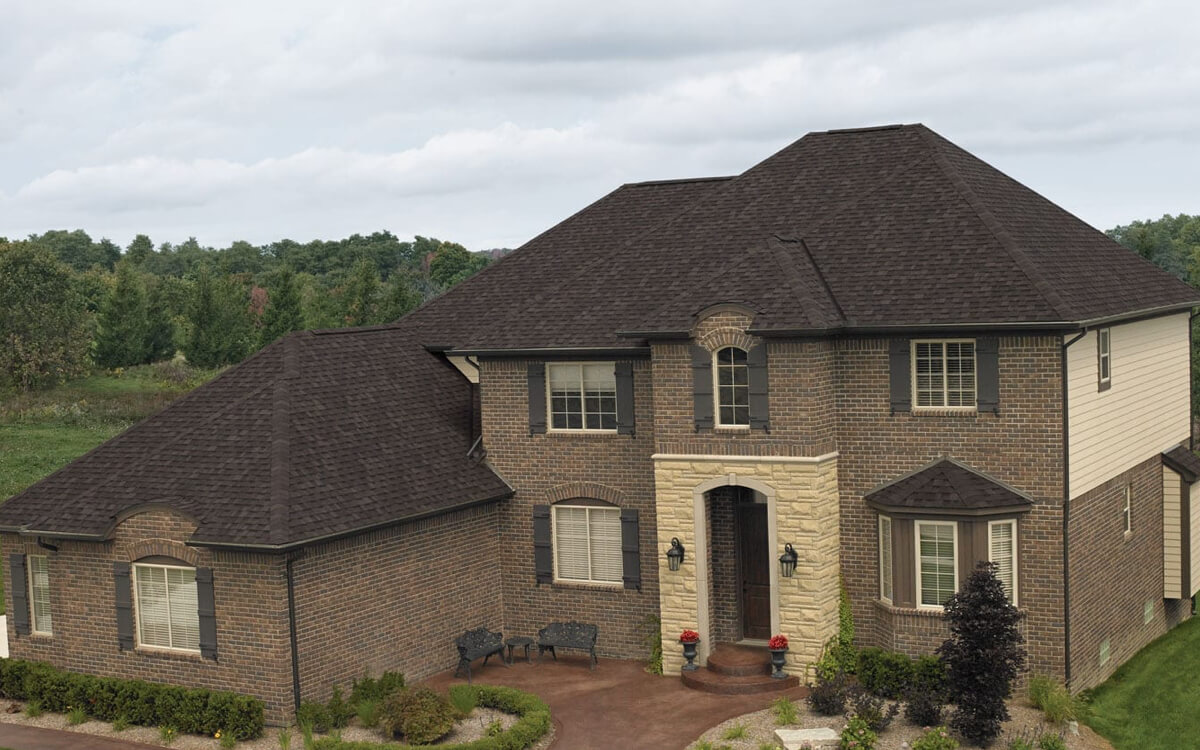 Dual Brown - Vista 7