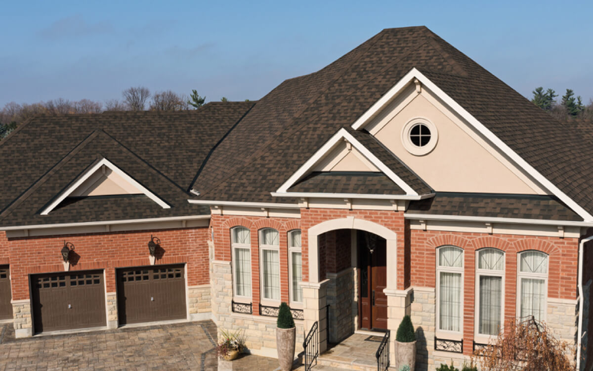 Dual Brown - Vista 6