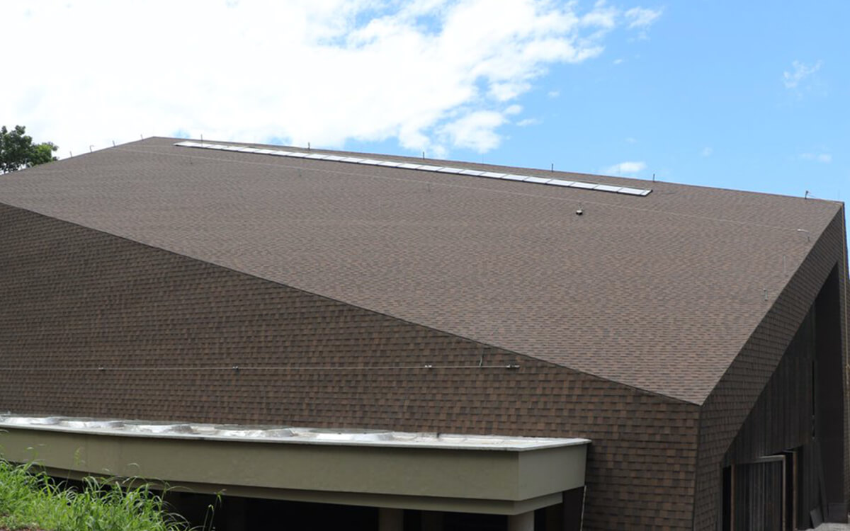 Dual Brown - Vista 5