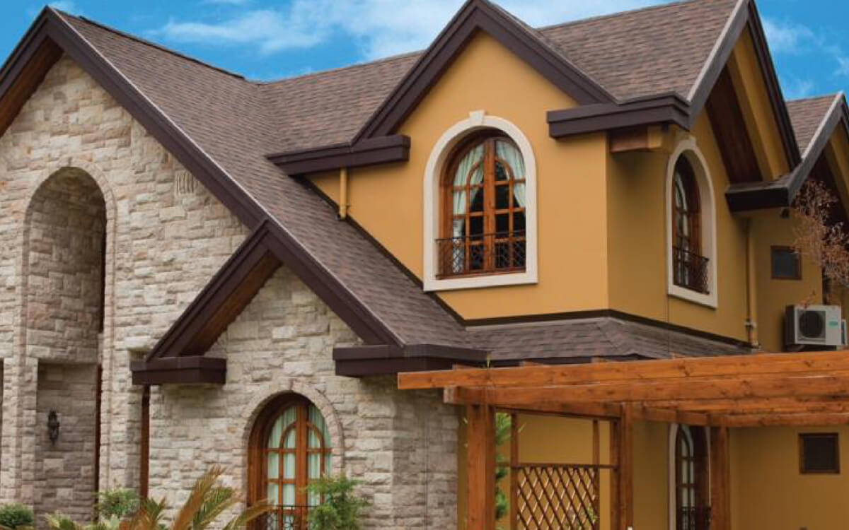 Dual Brown - Vista 2