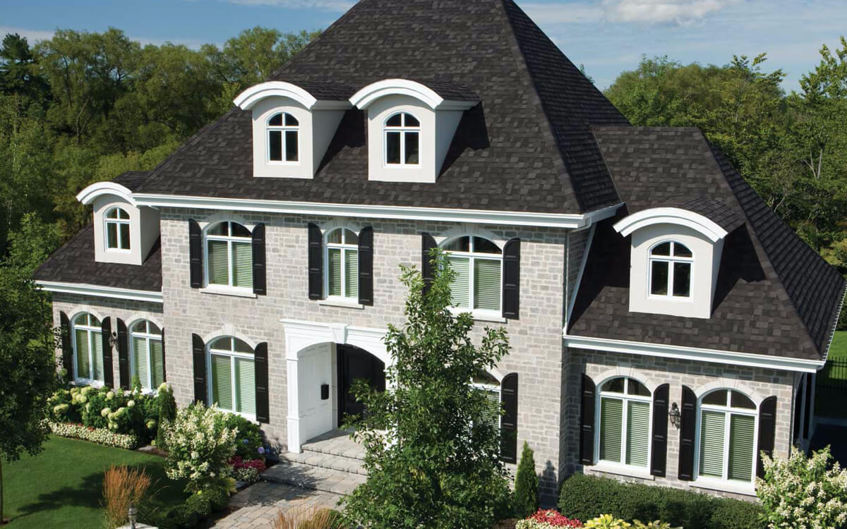 Dual Black - Vista 1