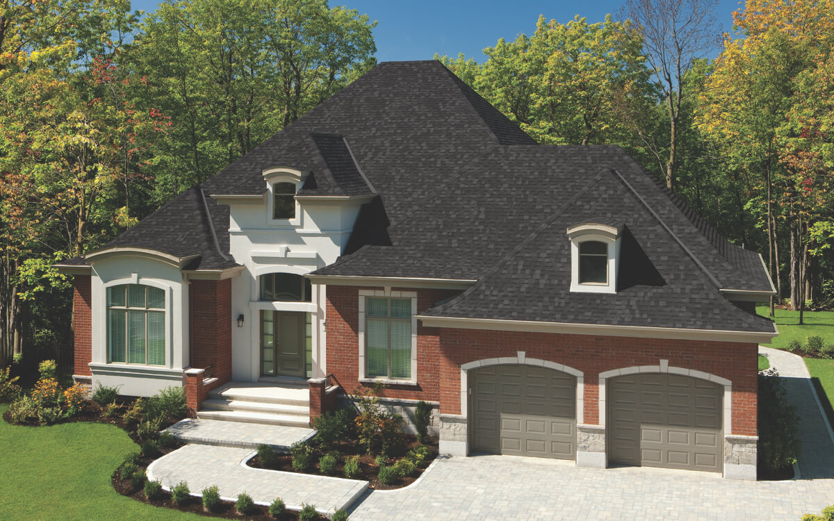 Dual Black - Vista 8