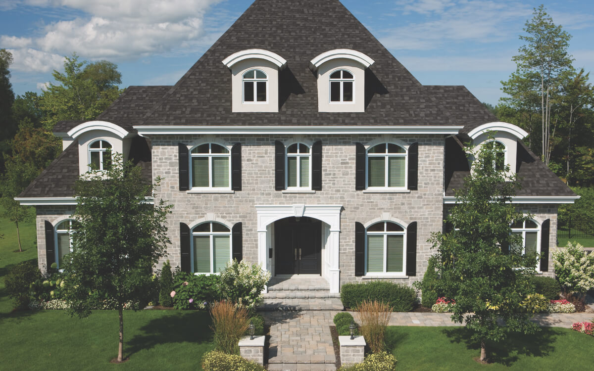 Dual Black - Vista 2