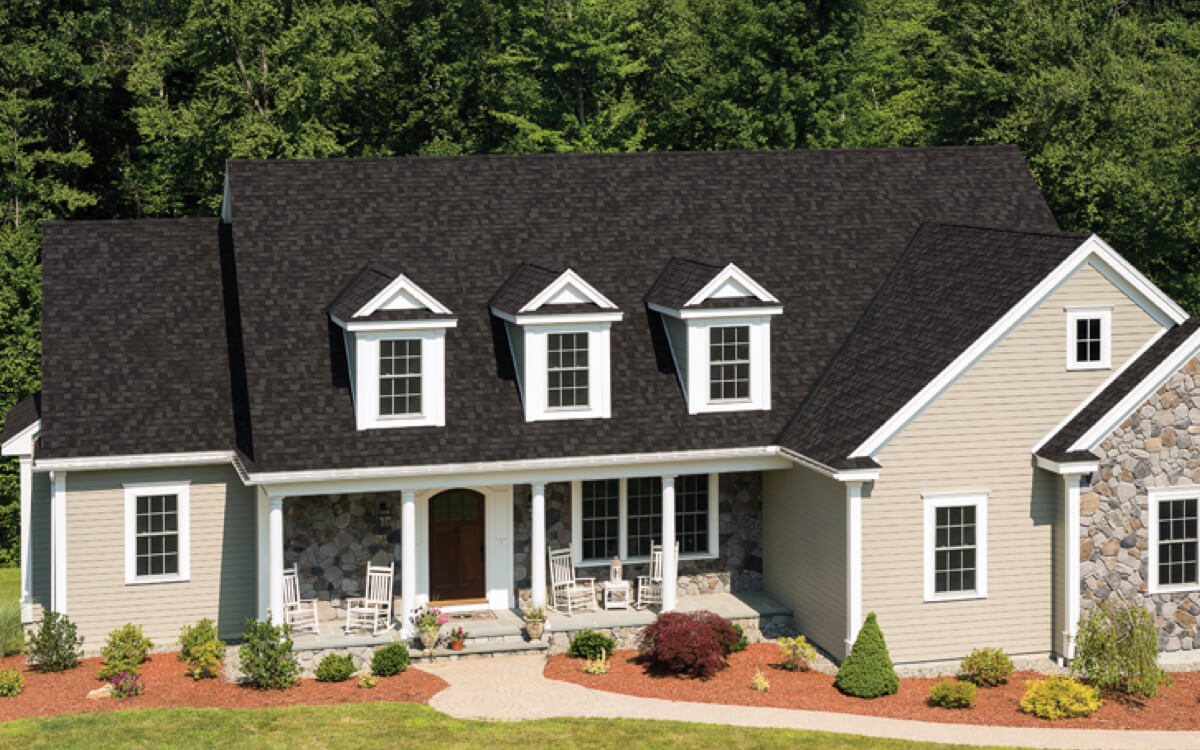 Dual Black - Vista 4