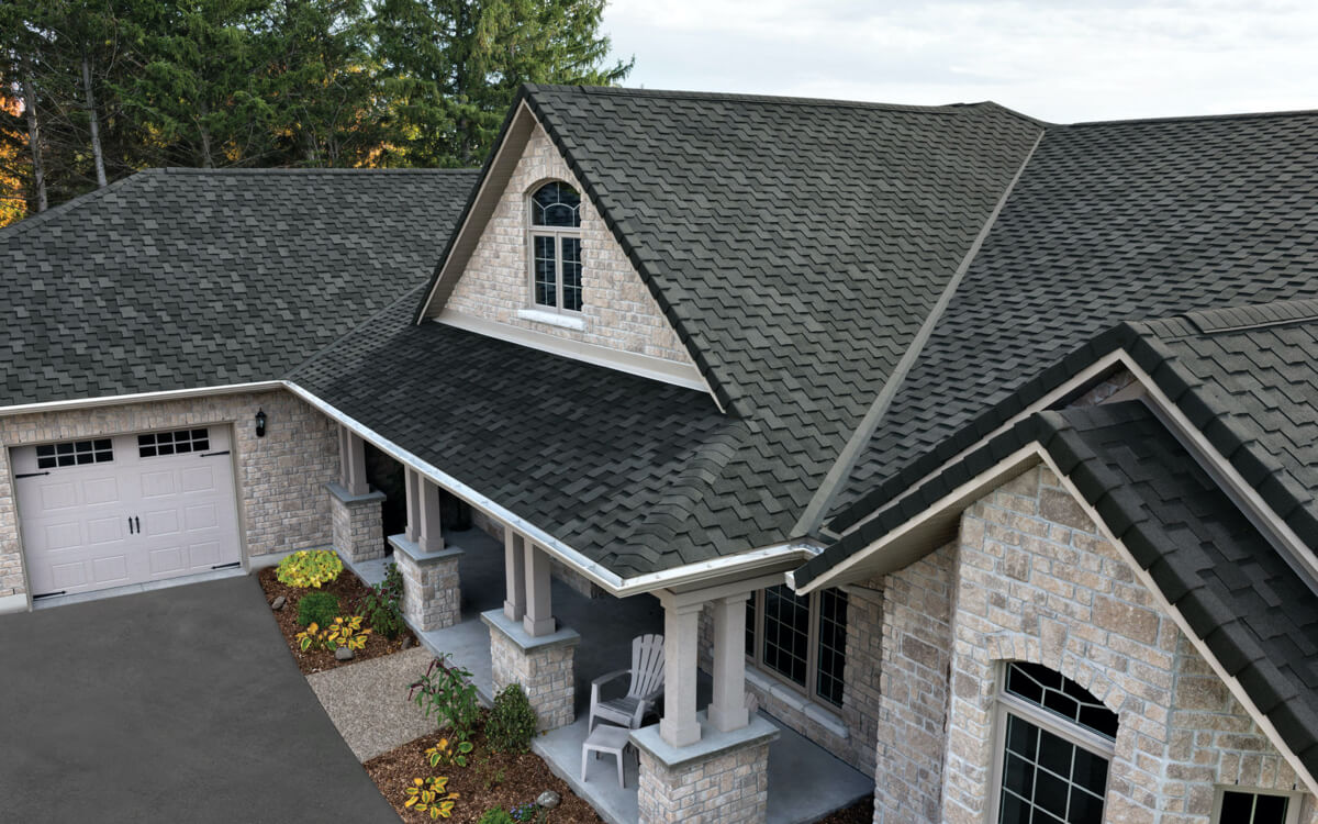 Shadow Black - Vista 1