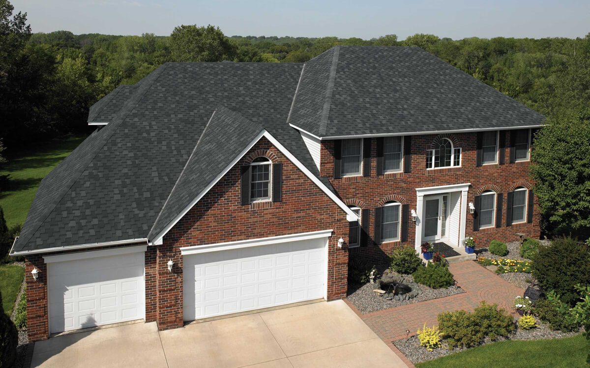 Shadow Black - Vista 3