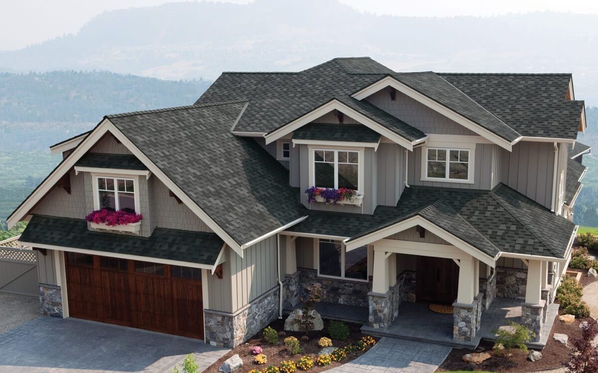 Shadow Black - Vista 4