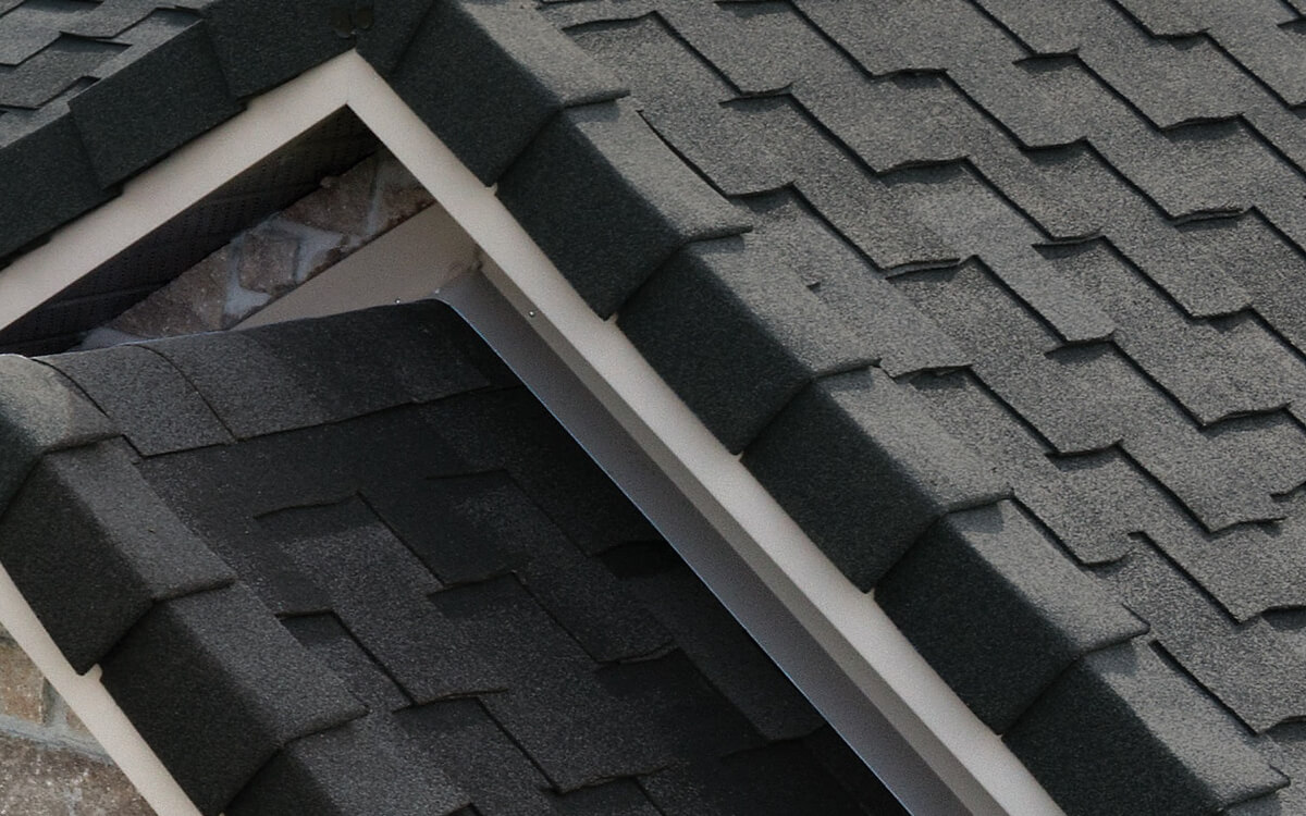 Shadow Black - Vista 2