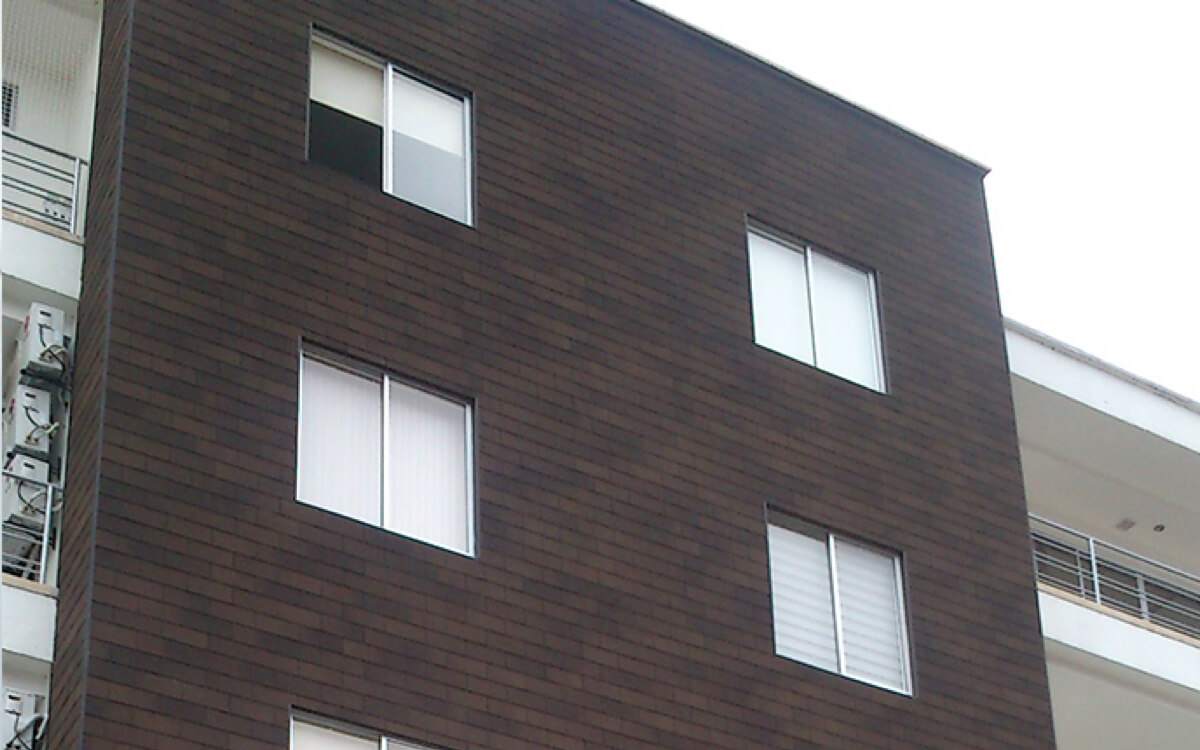 Dual Brown - Vista 6