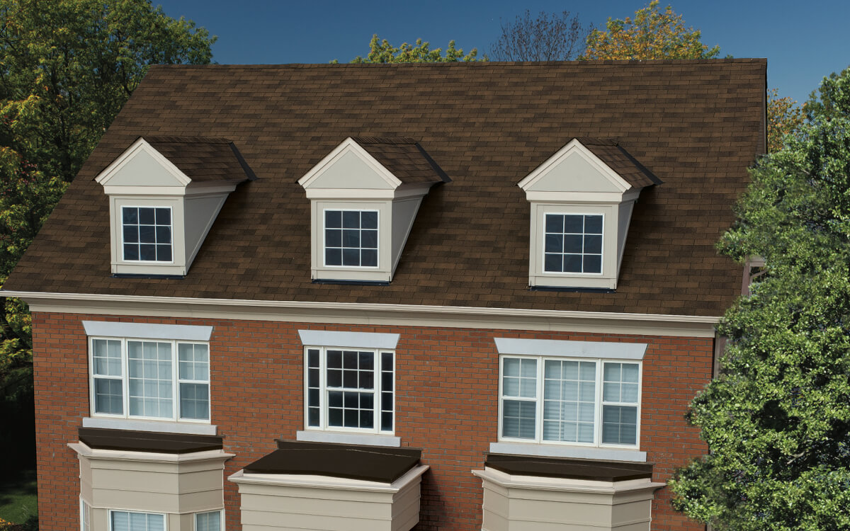 Dual Brown - Vista 3