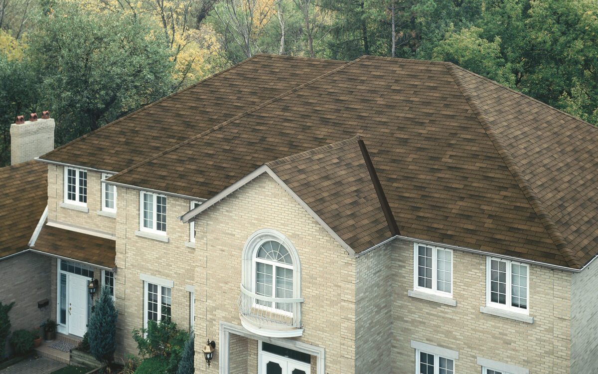 Dual Brown - Vista 2