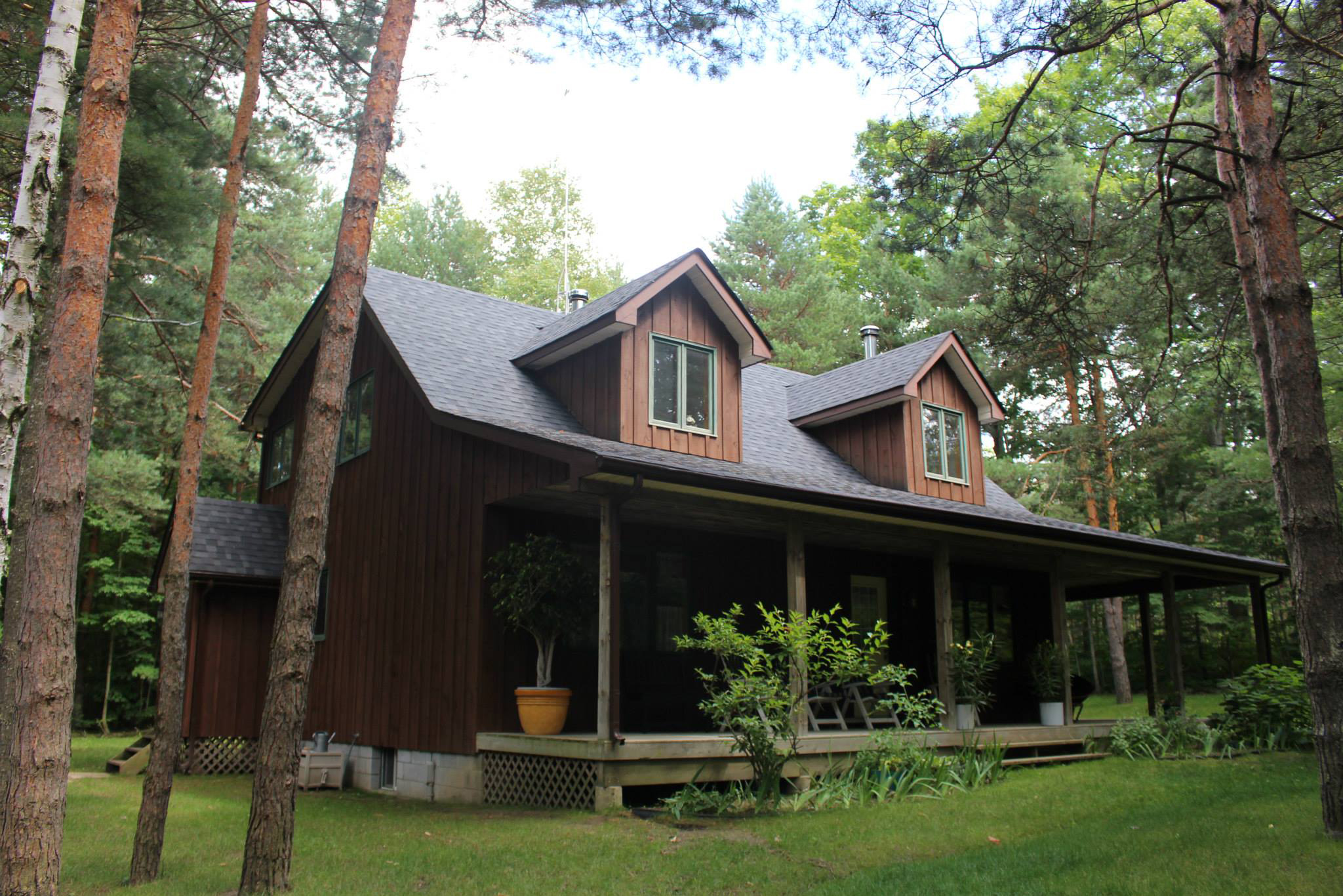 Dual Black - Vista 9