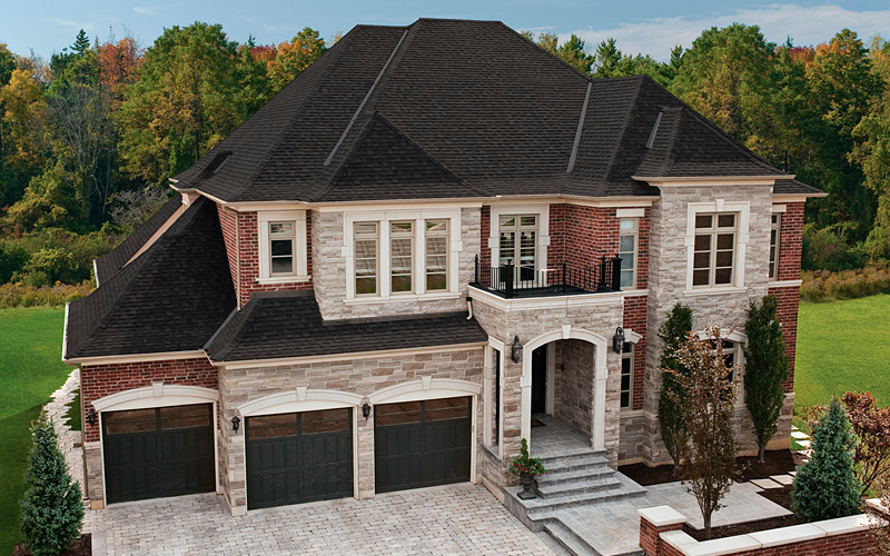 Dual Black - Vista 10