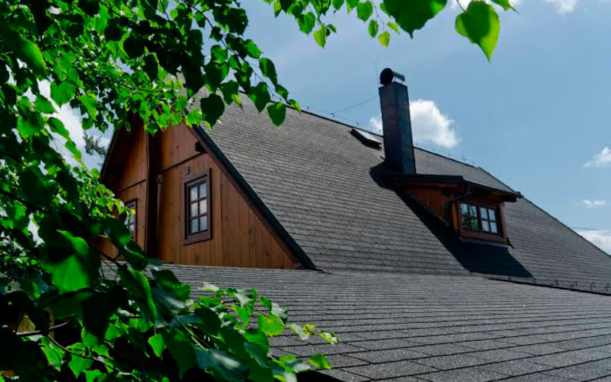 Dual Black - Vista 7