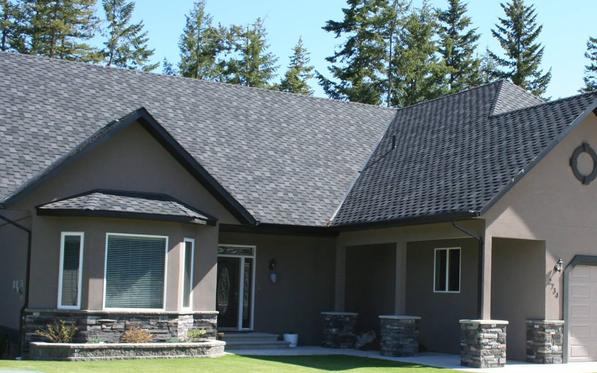 Shadow Black - Vista 11