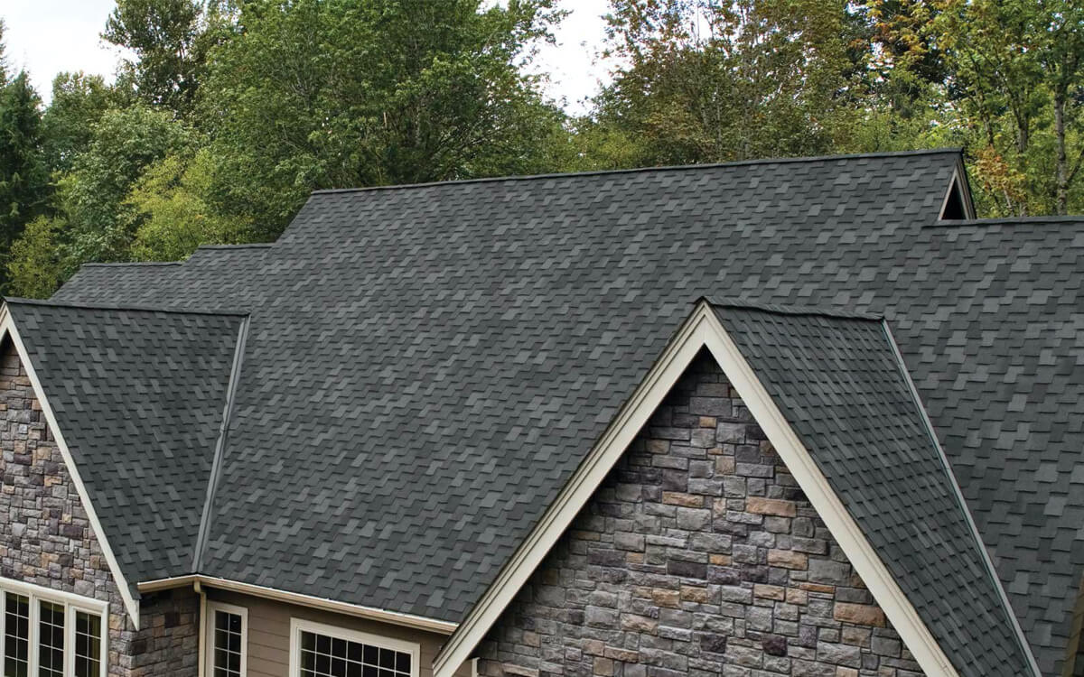 Shadow Black - Vista 7