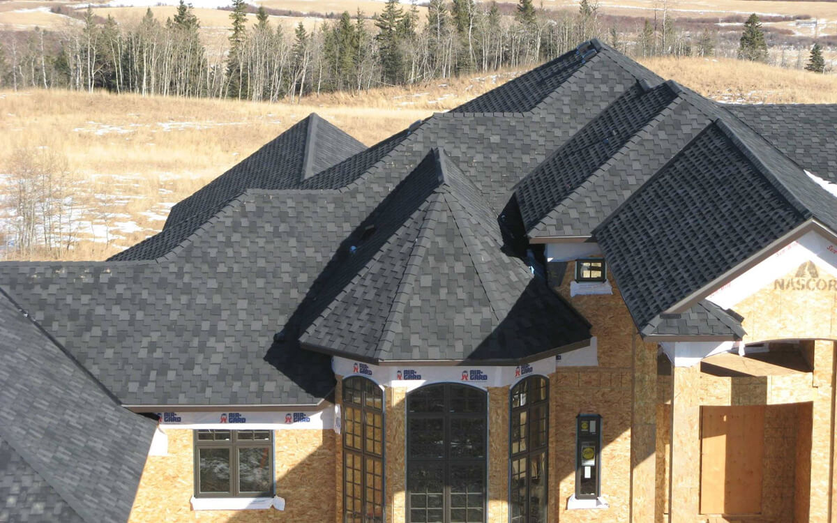 Shadow Black - Vista 6