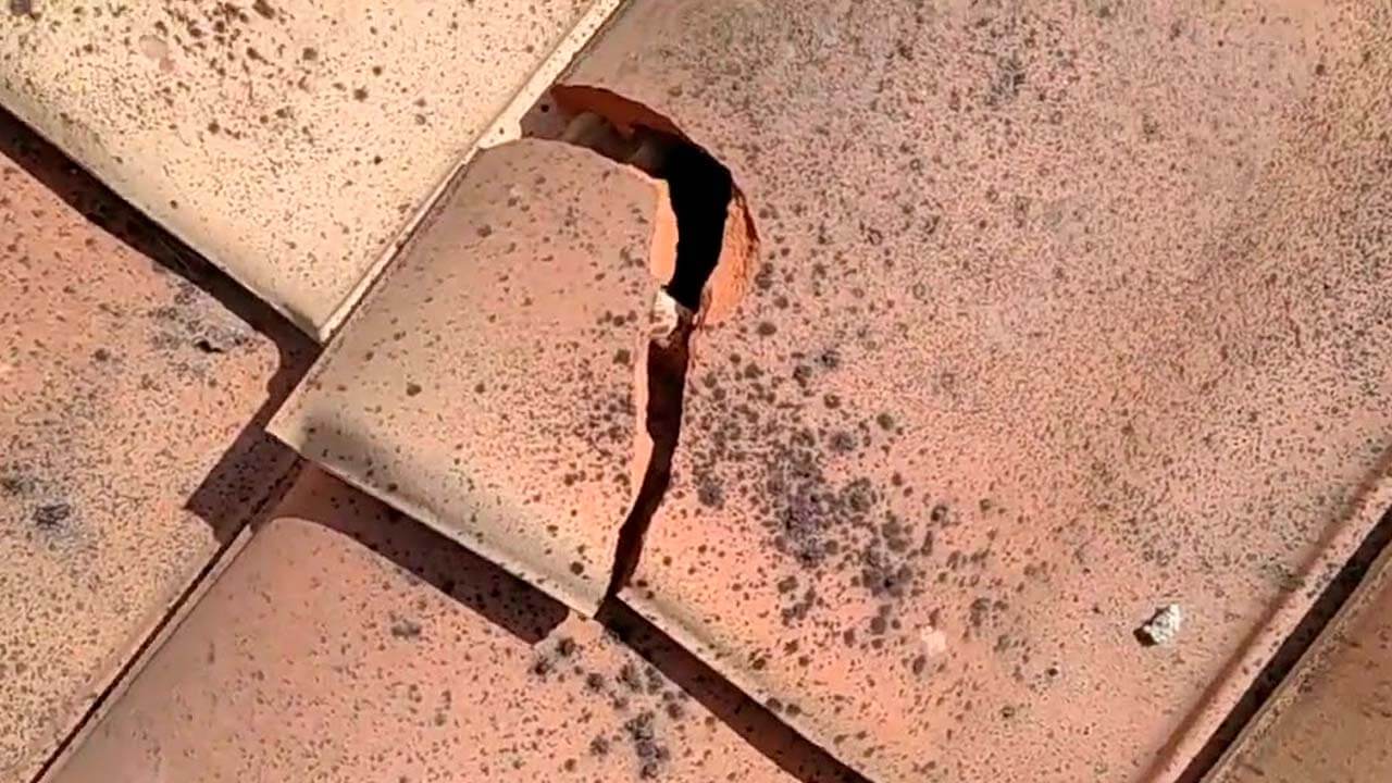 Teja de barro rota sobre un techo