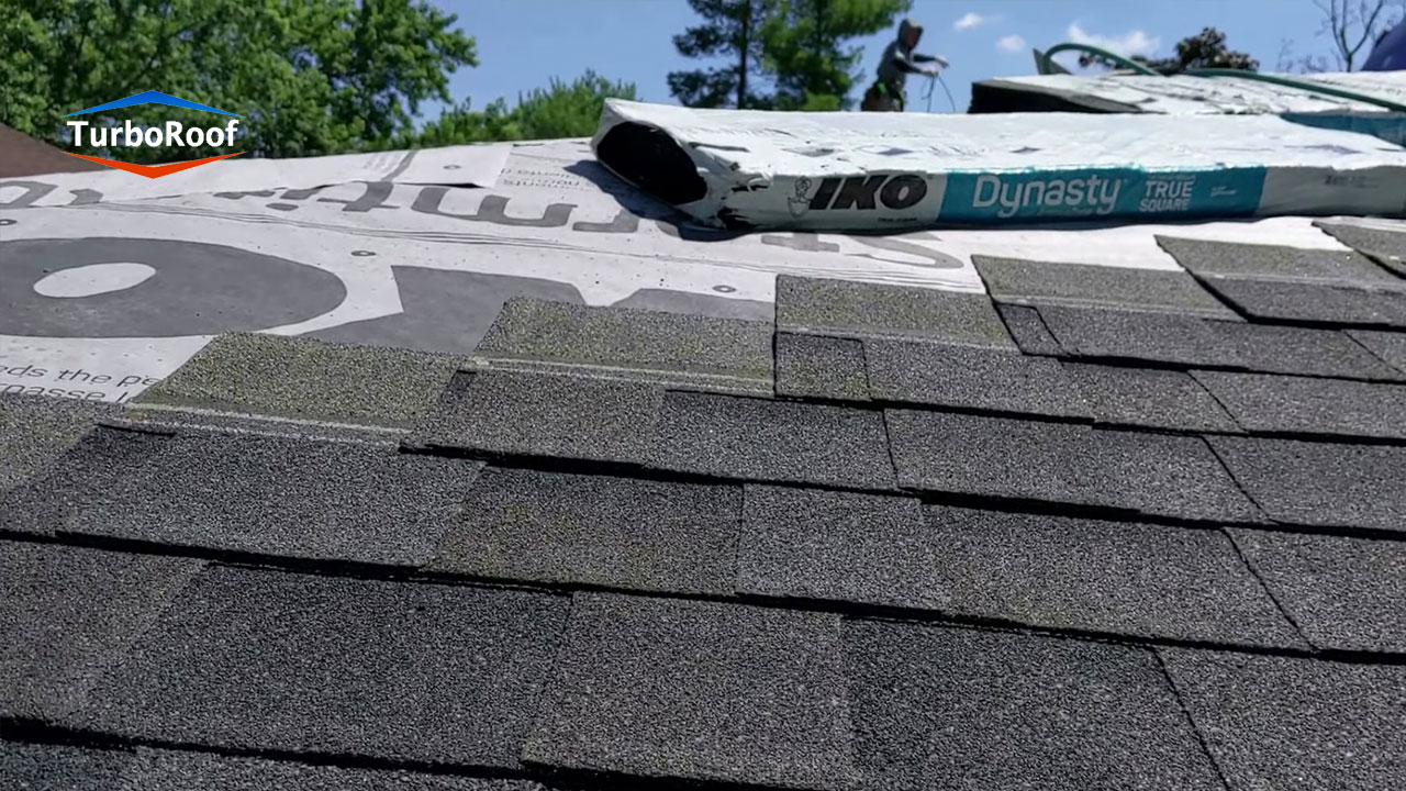 ¿Qué es la exposición de las Tejas Asfálticas?