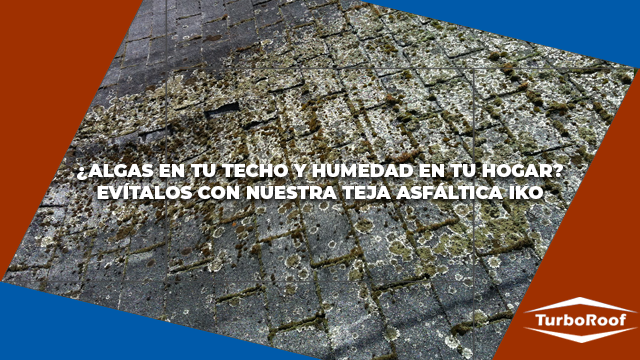 ¿Algas en tu techo y filtraciones de humedad en tu hogar? Evítalas con nuestra Teja Asfáltica IKO.