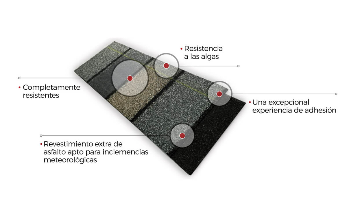 Características técnicas Dynasty Premium