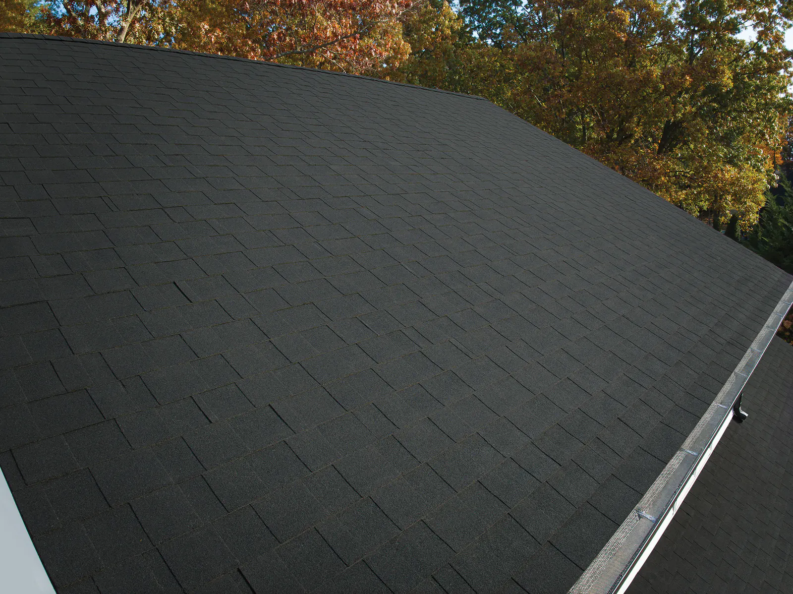 Casa con tejas Matte Black - Dynasty