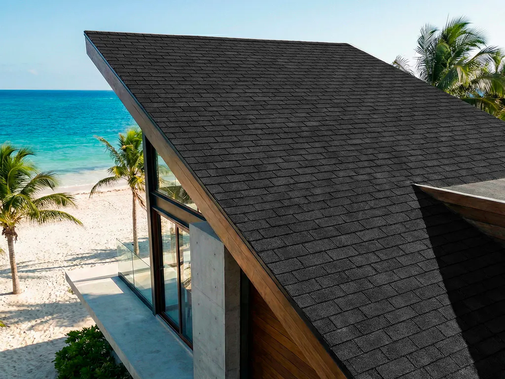 Casa con tejas Dual Black - /