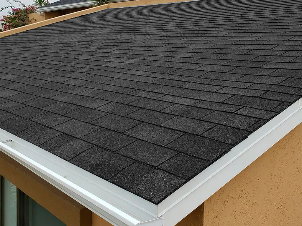 Dual Black - Vista 4